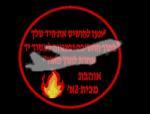 פאצים